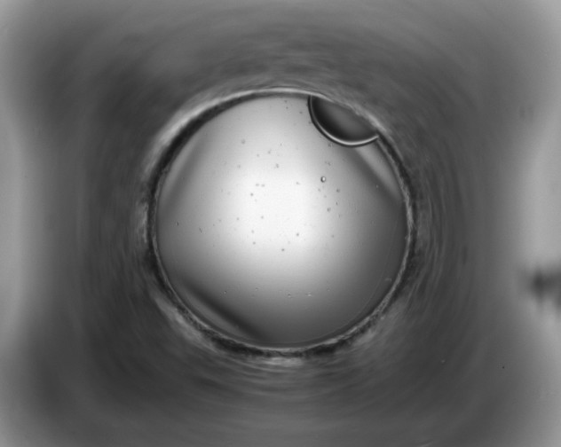 X0000086761503200704271720