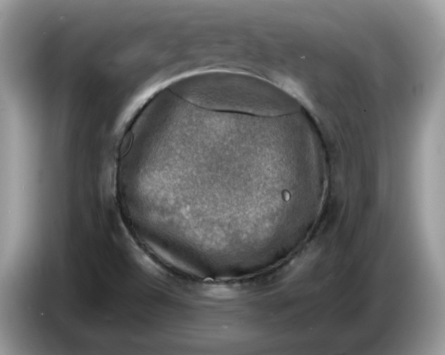 X0000086761504200704271720