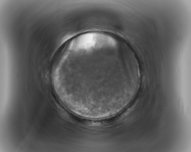 X0000086761505200704271720