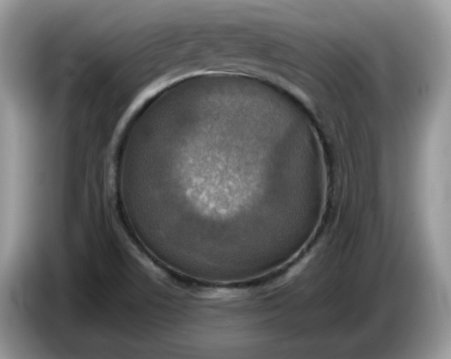 X0000086761506200704271720