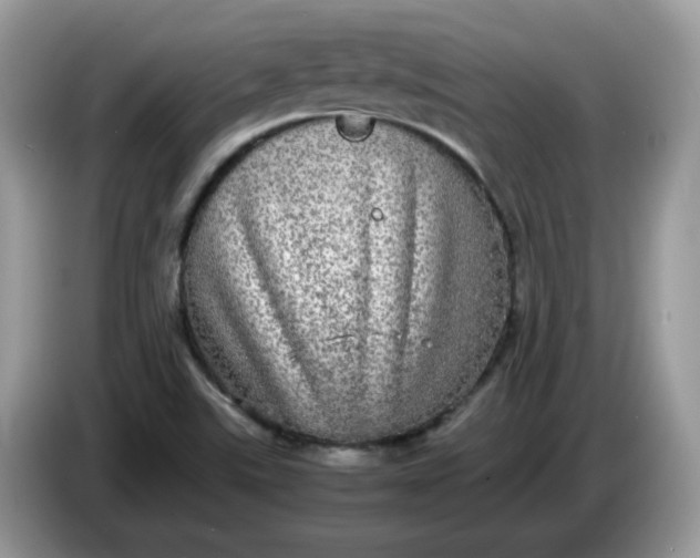 X0000086761507200704271720