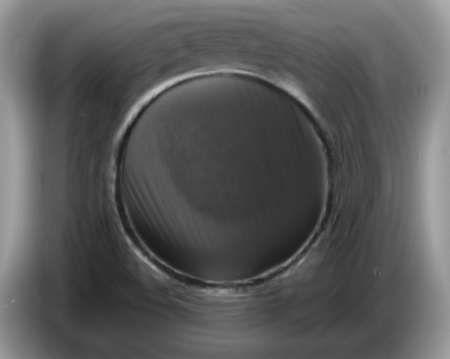 X0000086761508200704271720