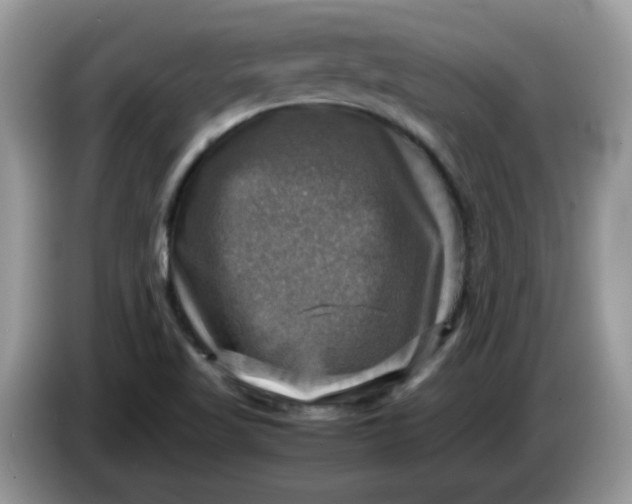 X0000086761509200704271720