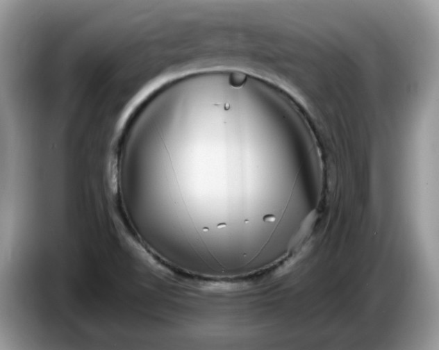 X0000086761510200704271720