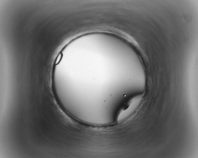 X0000086761512200704271720