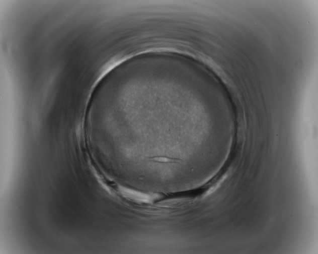 X0000086761513200704271720