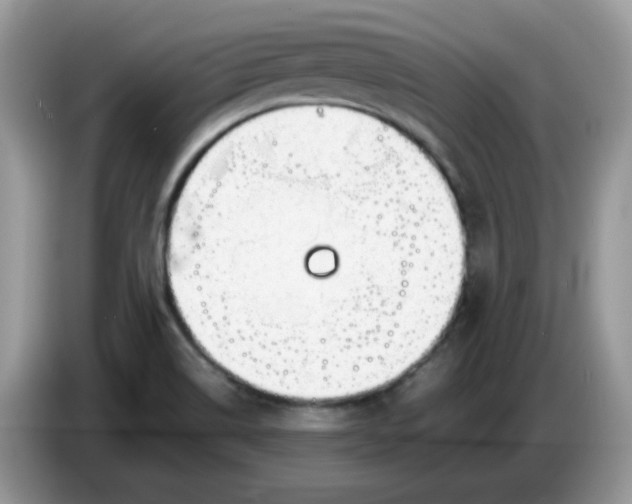 X0000086761514200704271720