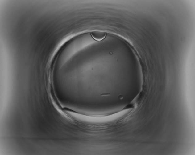 X0000086761515200704271720