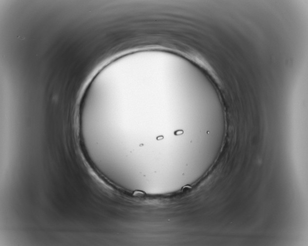 X0000086761516200704271720