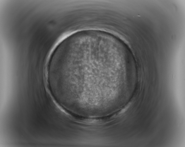 X0000086761517200704271720