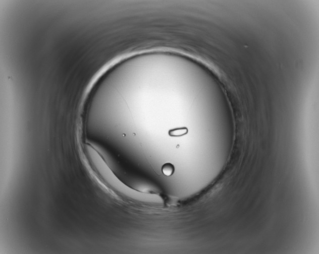 X0000086761518200704271720