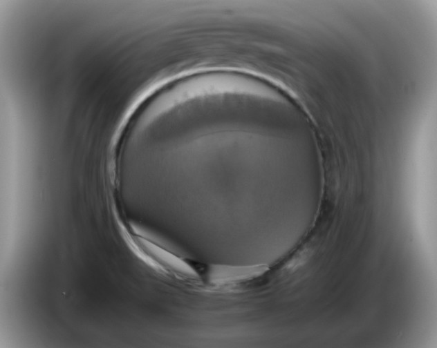 X0000086761519200704271720