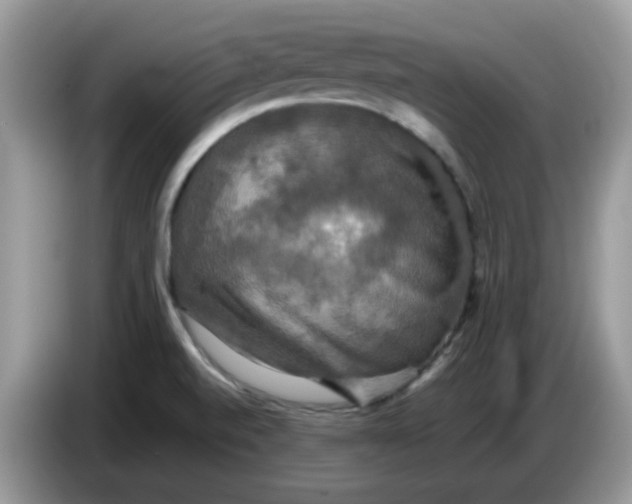 X0000086761520200704271720