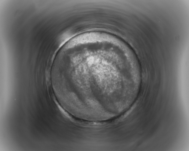 X0000086761521200704271720