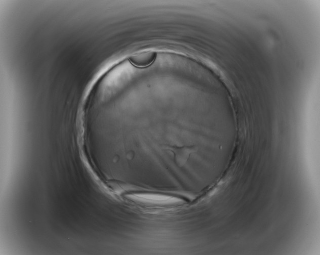 X0000086761522200704271720