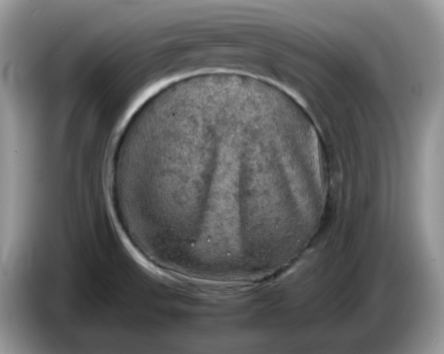 X0000086761523200704271720