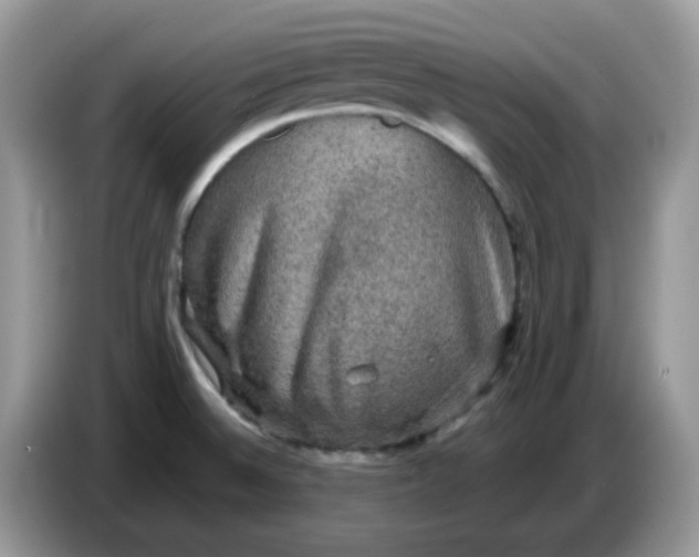 X0000086761524200704271720