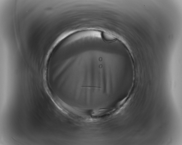 X0000086761525200704271720