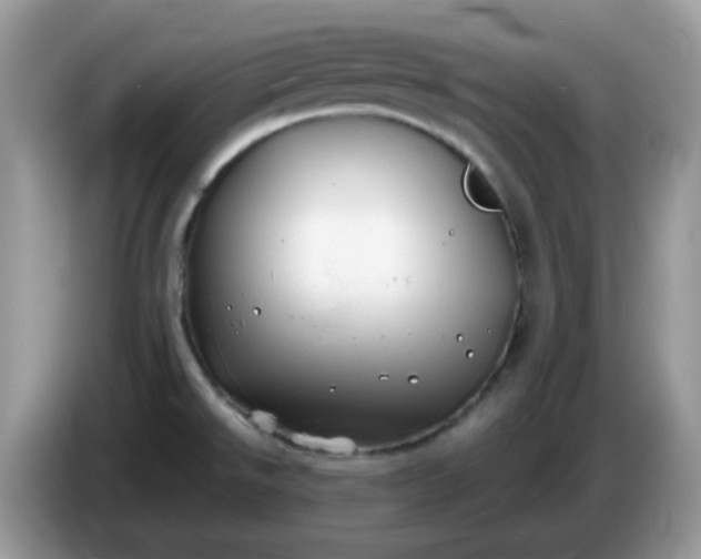 X0000086761526200704271720