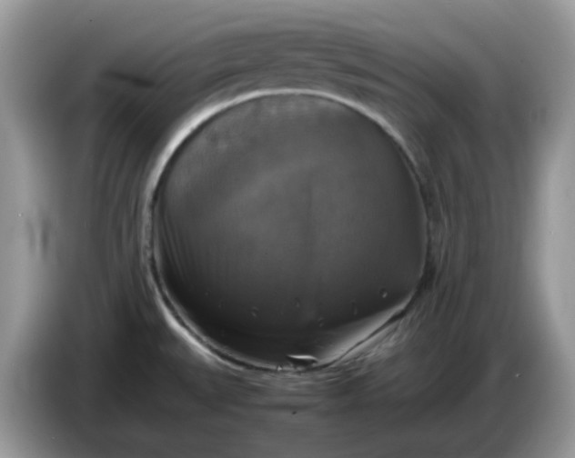 X0000086761527200704271720