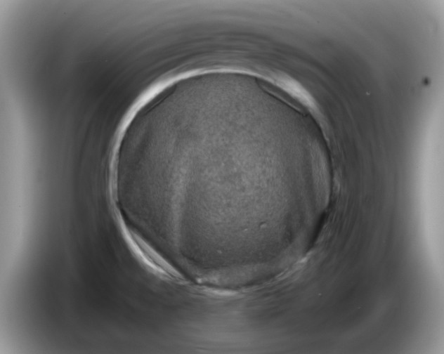 X0000086761528200704271720