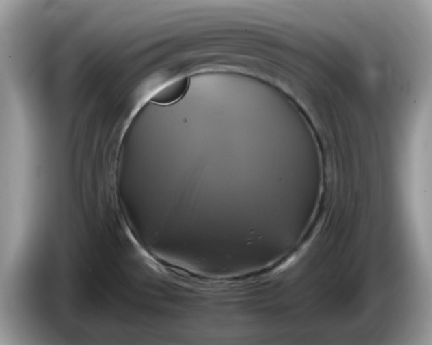 X0000086761529200704271720