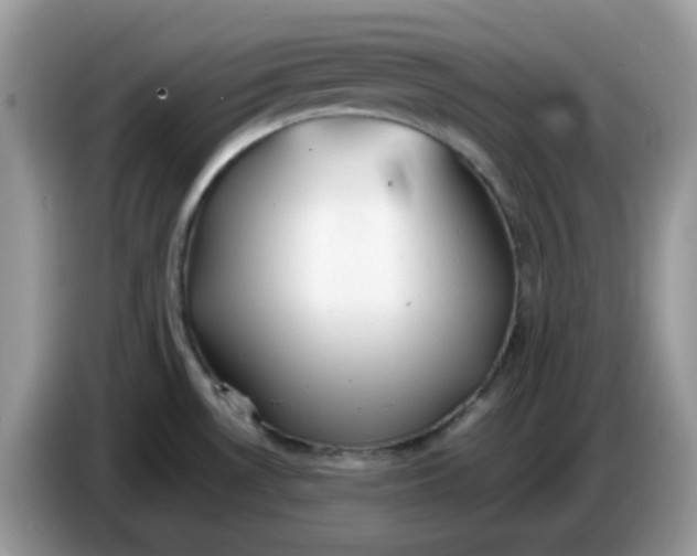 X0000086761530200704271720