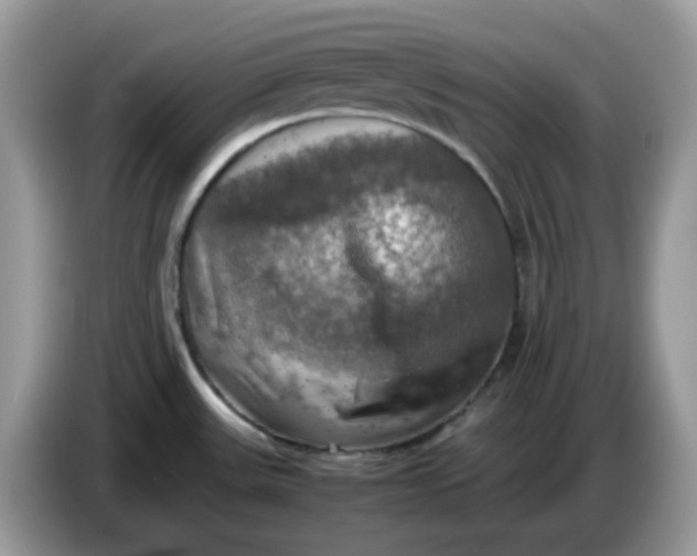 X0000086761531200704271720