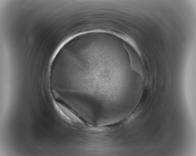 X0000086761532200704271720