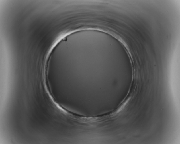 X0000086761533200704271720