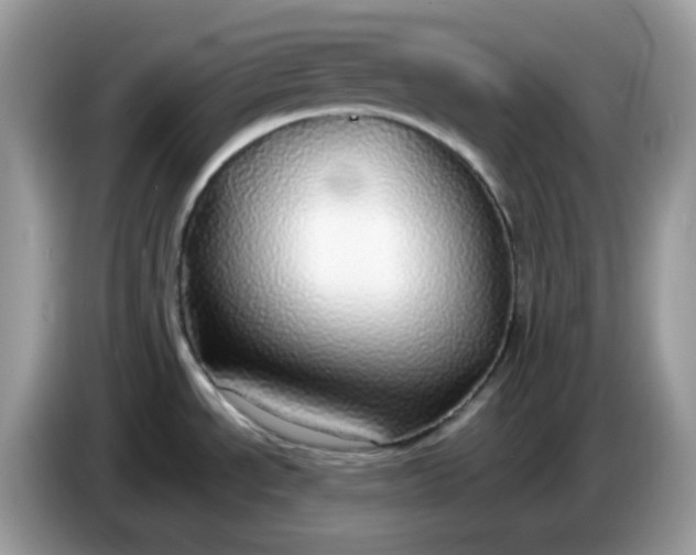 X0000086761534200704271720