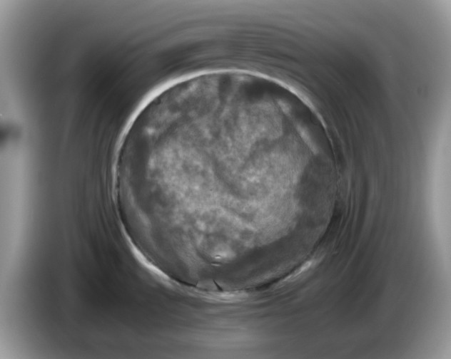 X0000086761535200704271720