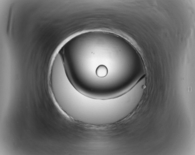 X0000086761536200704271720