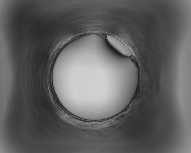 X0000086760001200705041457