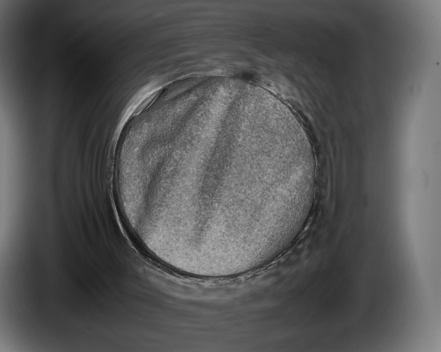 X0000086760003200705041457