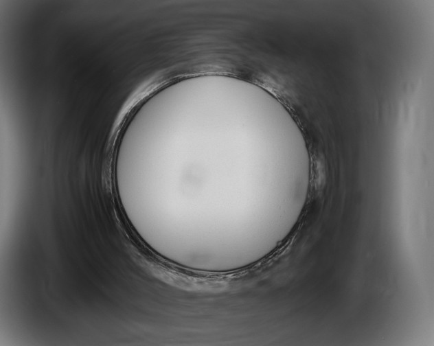 X0000086760004200705041457