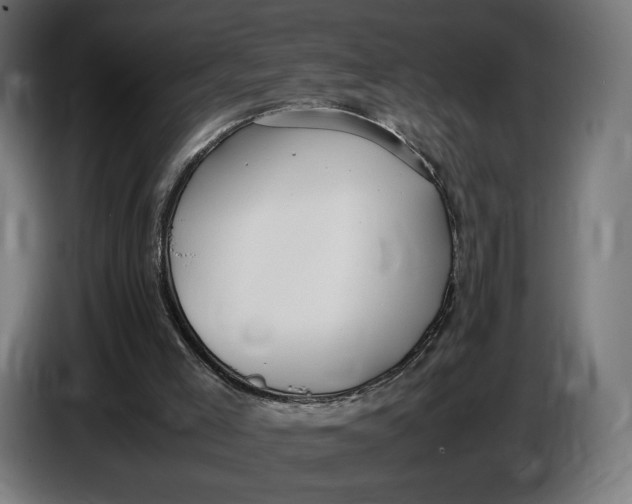 X0000086760005200705041457