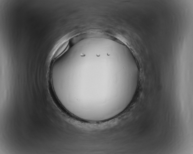 X0000086760007200705041457