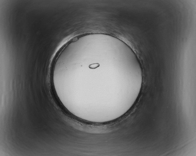 X0000086760008200705041457