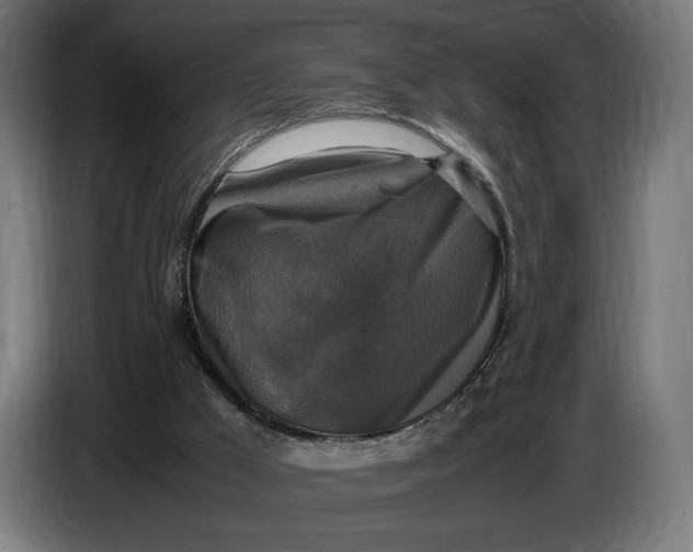 X0000086760009200705041457