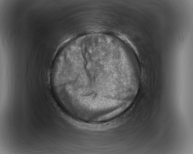 X0000086760010200705041457