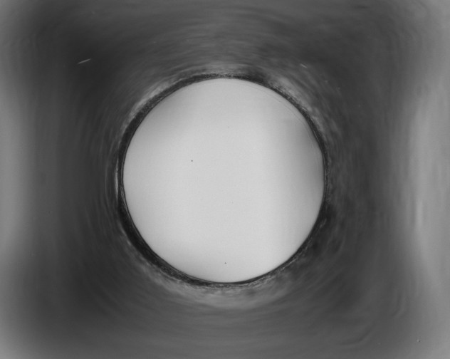 X0000086760011200705041457