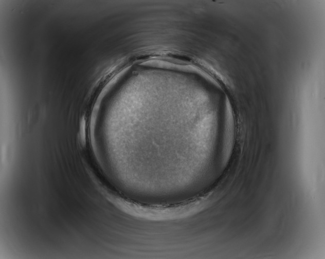 X0000086760014200705041457