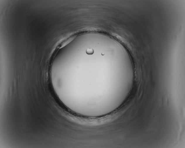 X0000086760015200705041457