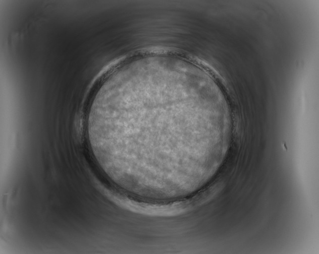 X0000086760016200705041457