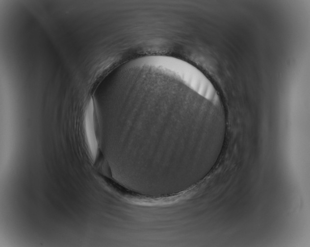 X0000086760017200705041457