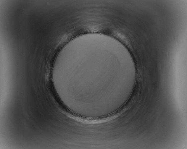 X0000086760018200705041457