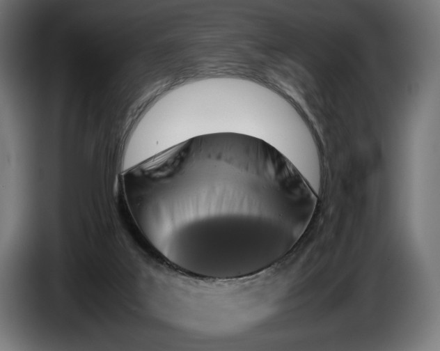 X0000086760019200705041457