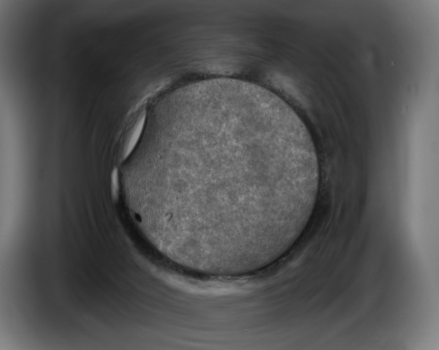 X0000086760020200705041457