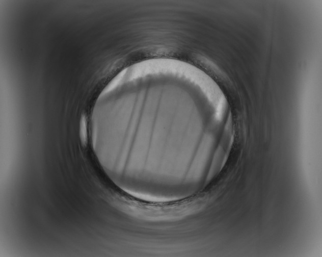 X0000086760022200705041457